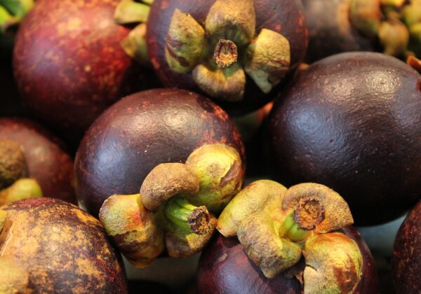 Aktar Ürünleri İçin Etkili Blog Yazıları Hazırlama Rehberi