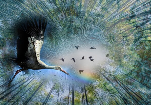 Apart Web Sitenizi Google’da Üst Sıralara Taşımanın Yolları