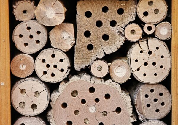 Otel Web Sitesinde En İyi İçerik Stratejileri