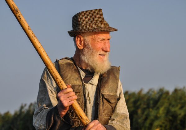 WordPress AI İçerik Üretimi Eklentileri: Hangisini Seçmelisiniz?